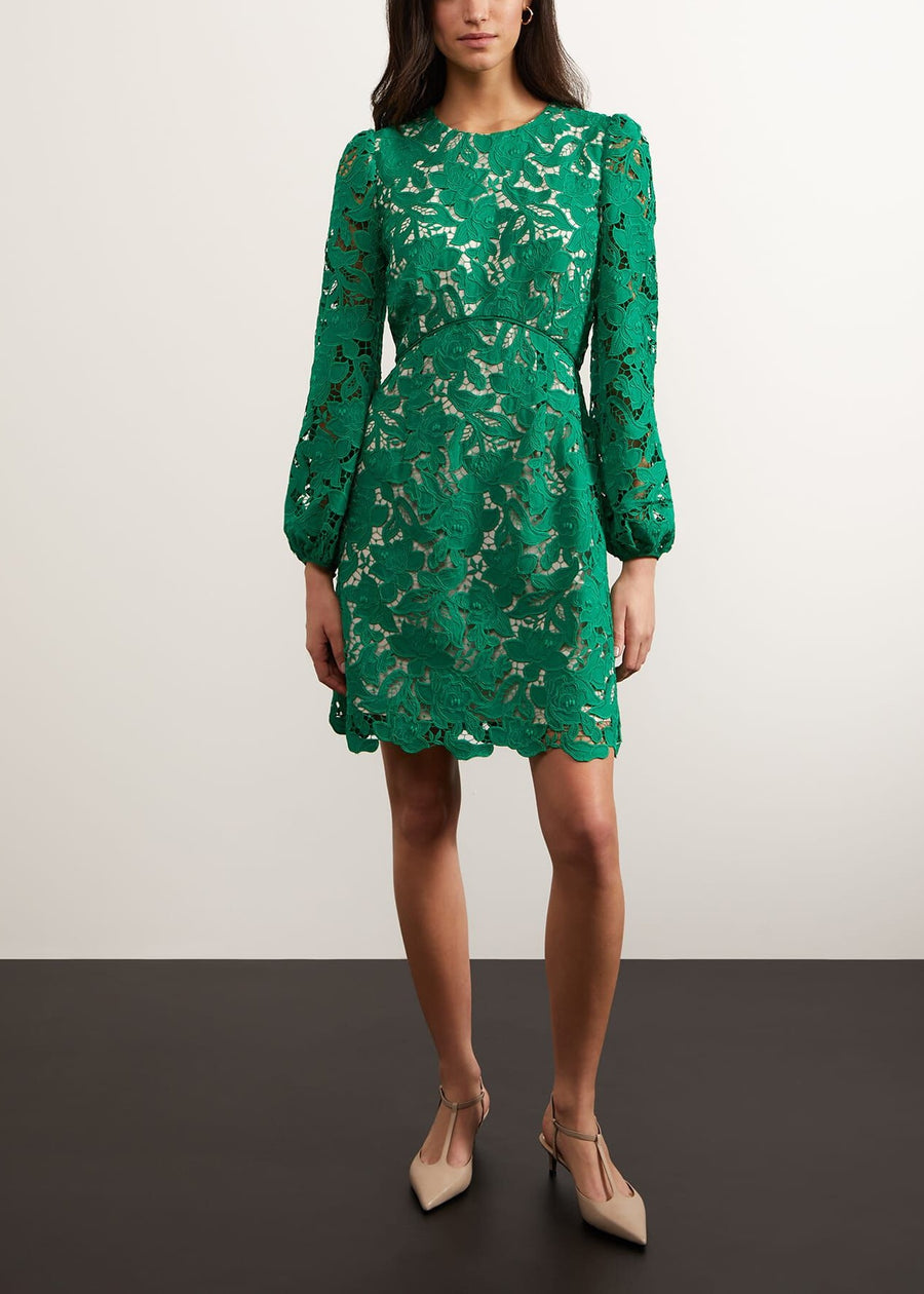 Kew Lace Dress 0124/5360/9045l00 Green-Cream